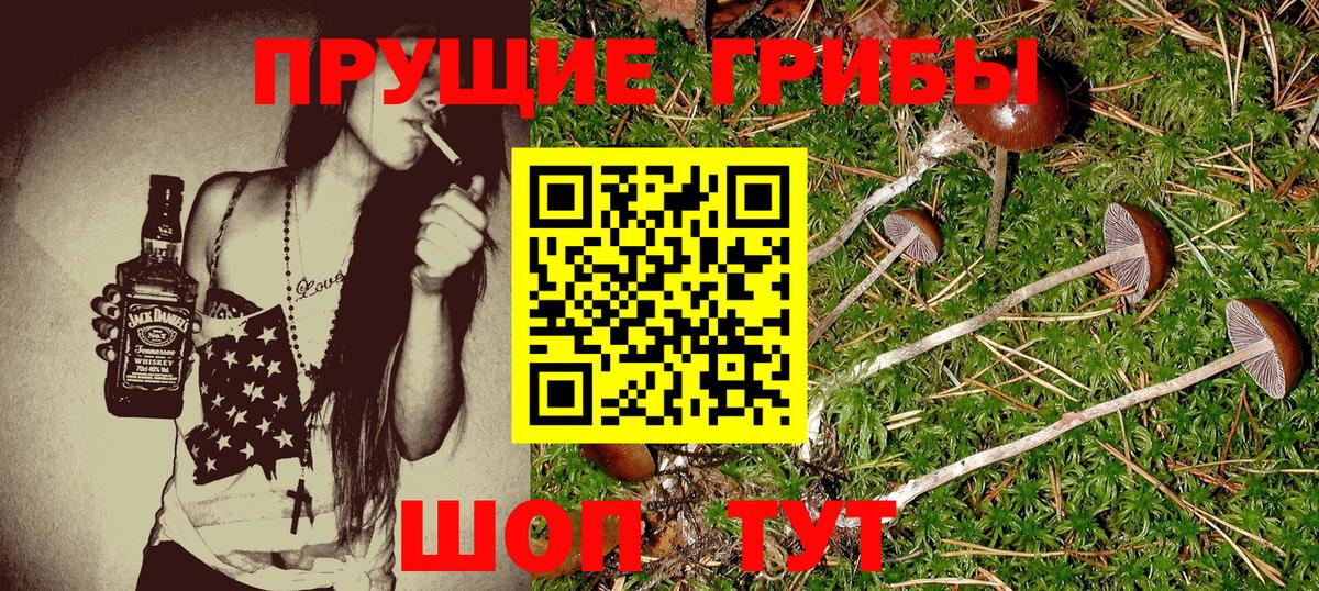 Галлюциногенные грибы мухоморы Новосибирск