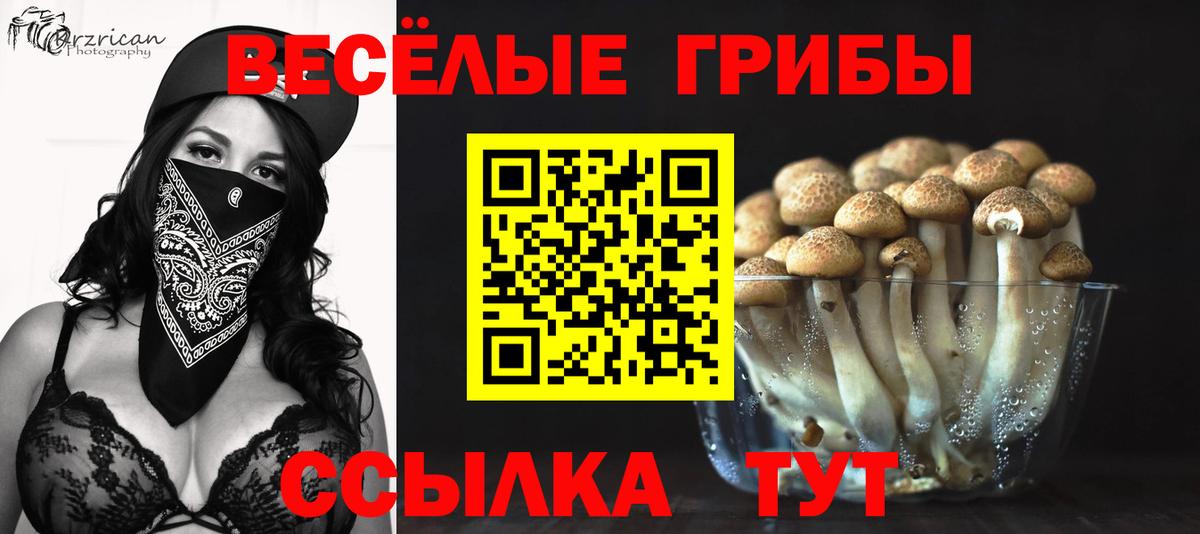 Новосибирск  купить  сайты  Вход с VPN  Галлюциногенные грибы MAGIC MUSHROOMS 